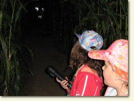 Geisternacht im Maislabyrinth