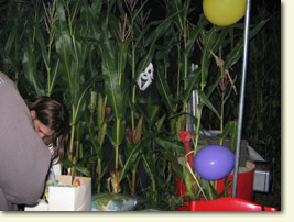 Geisternacht im Maislabyrinth